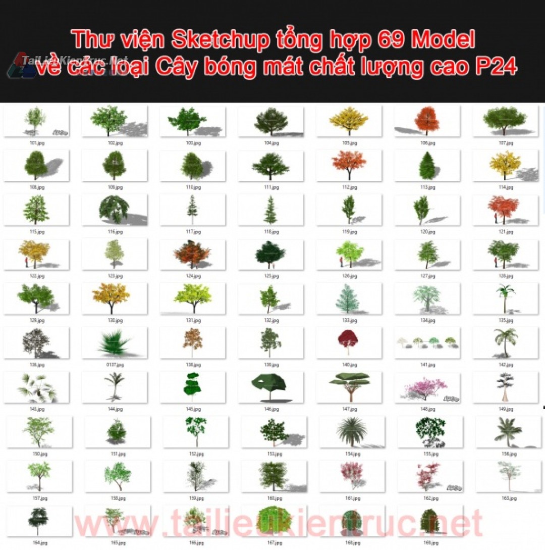 Thư viện Sketchup tổng hợp 69 Model về các loại Cây bóng mát chất lượng cao P24
