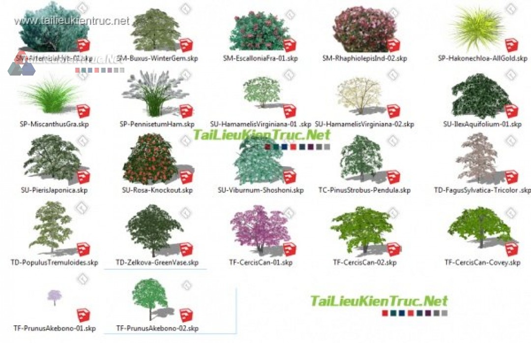 Tổng hợp 20 Model Sketchup về Cây các loại