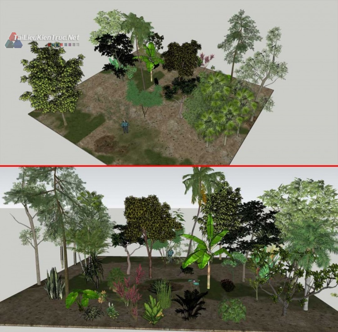 Thư viện Sketchup tổng hợp Model về các loại Cây chất lượng cao P12