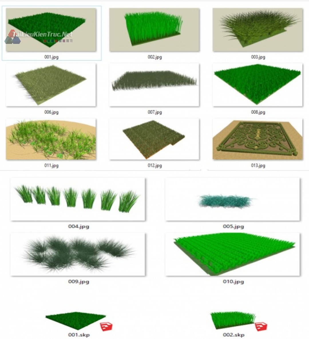 Thư viện Sketchup tổng hợp 13 Model về các loại cỏ P21