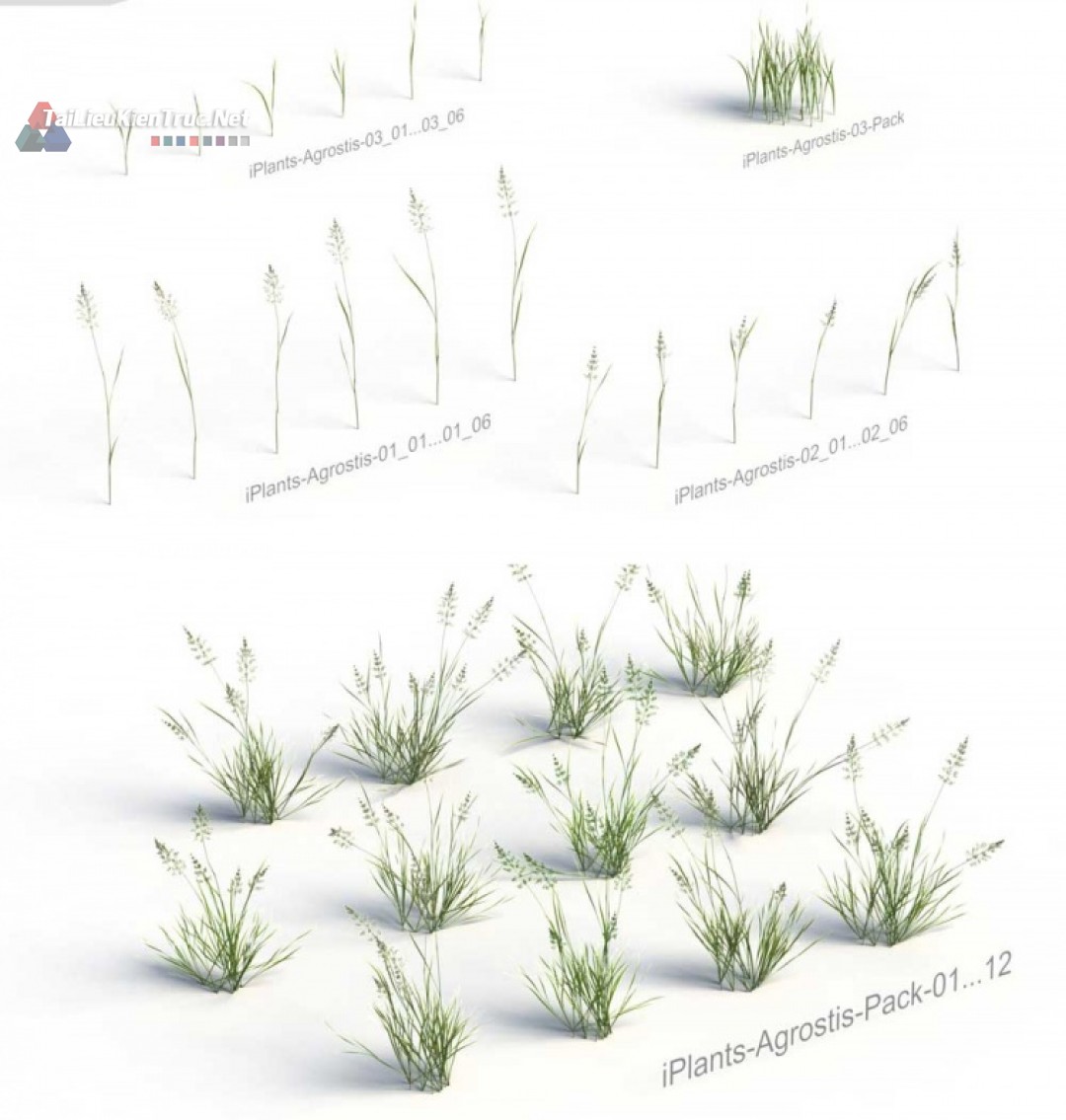 Thư viện Sketchup tổng hợp về các loại Cây cỏ chất lượng cao P10
