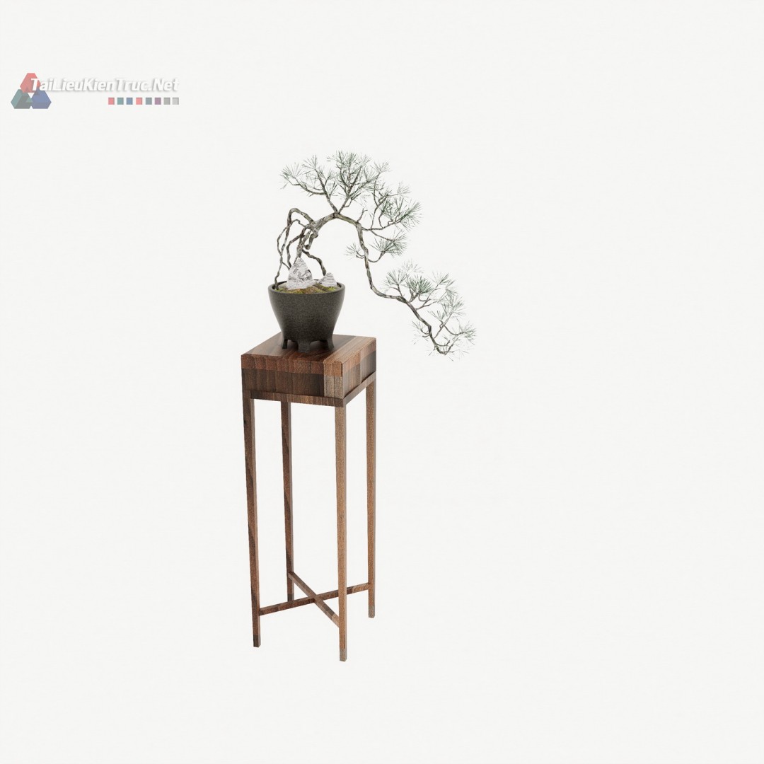 11. Model chậu bonsai trang trí miễn phí