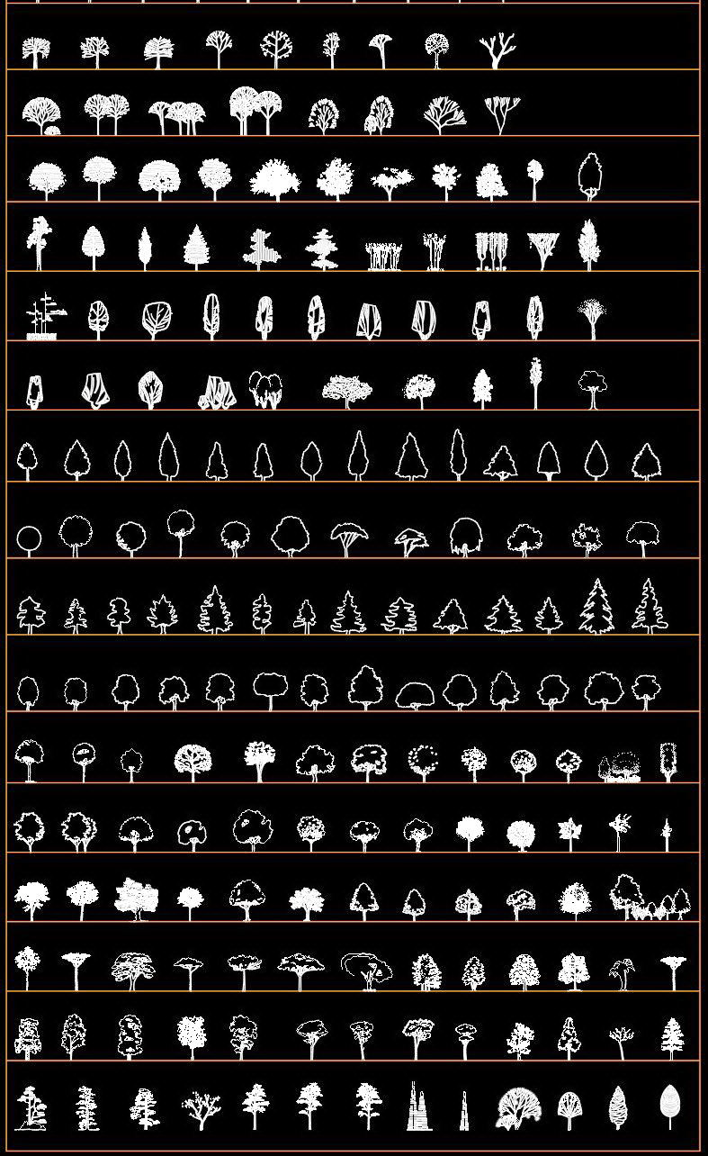12. Thư viện Autocad cây mặt đứng