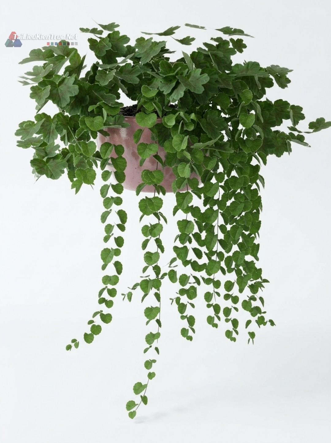 Thư viện Sketchup cây 070