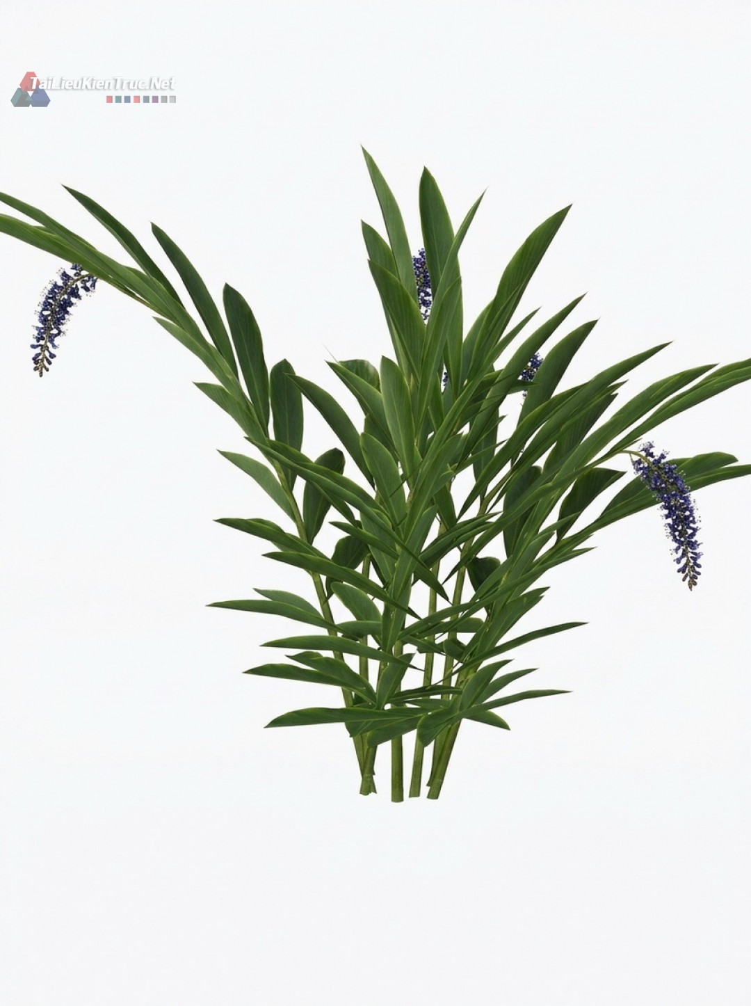 Thư viện Sketchup cây 043