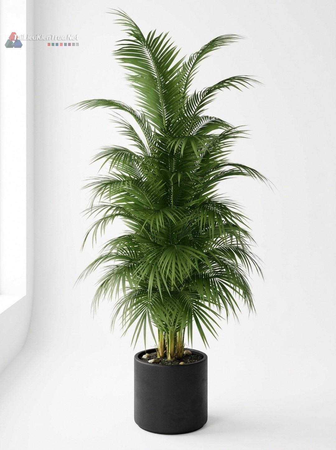 Thư viện Sketchup cây 046