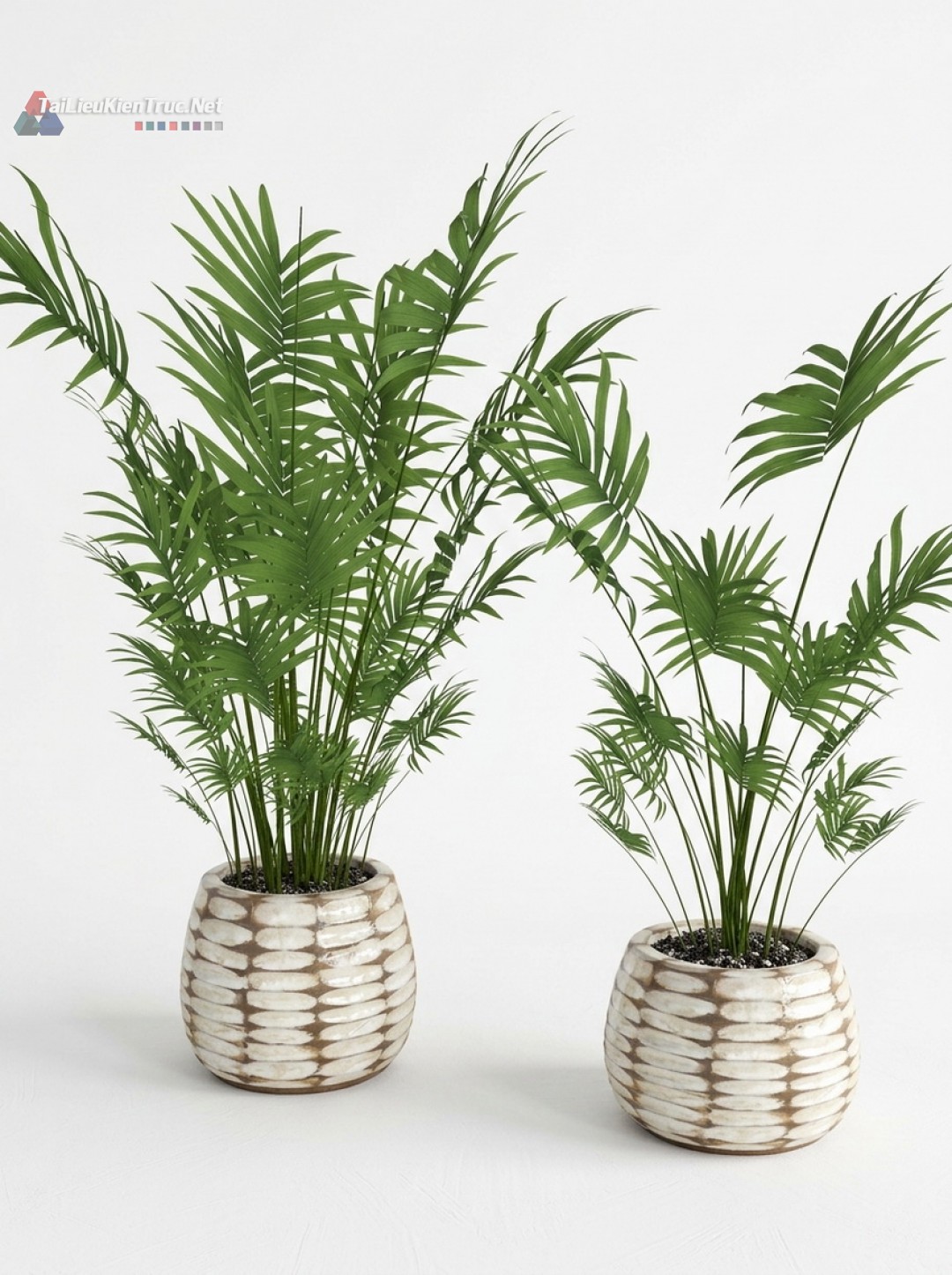 Thư viện Sketchup cây 047