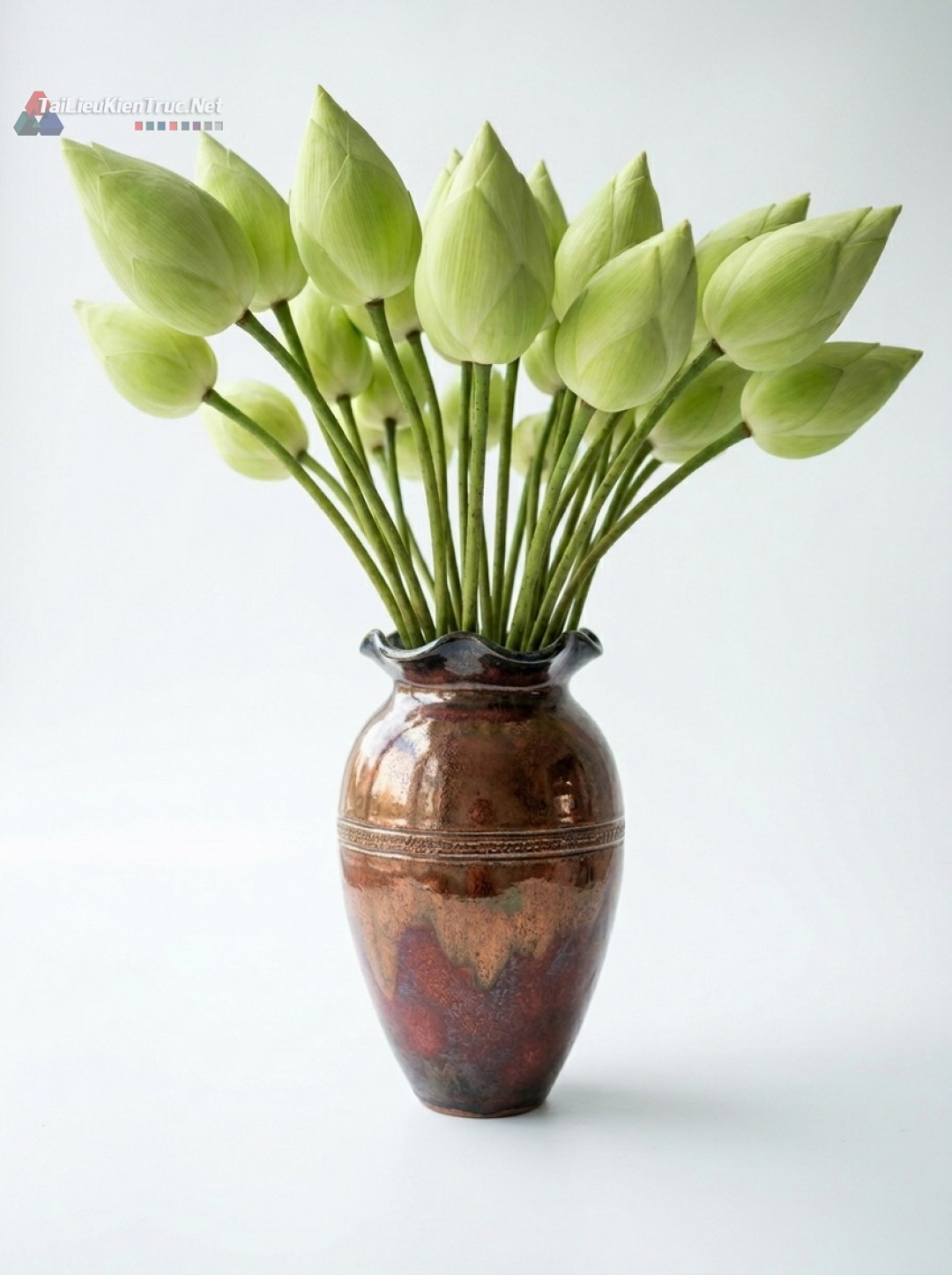 Thư viện Sketchup cây 049