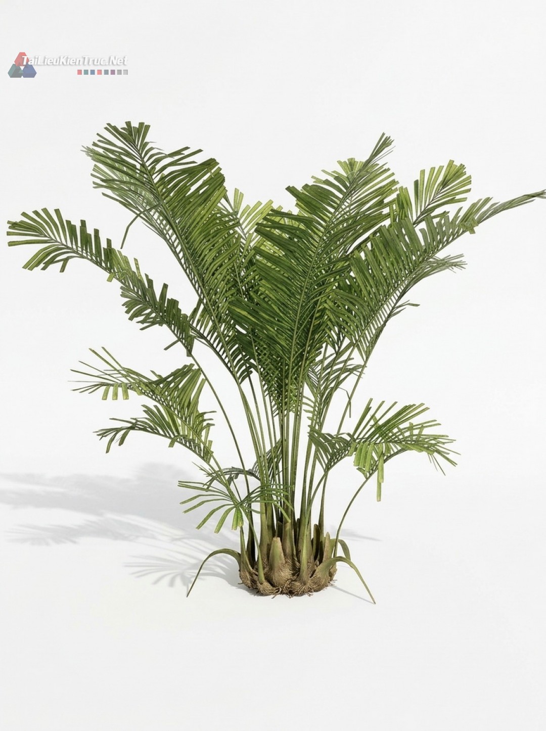 Thư viện Sketchup cây 052