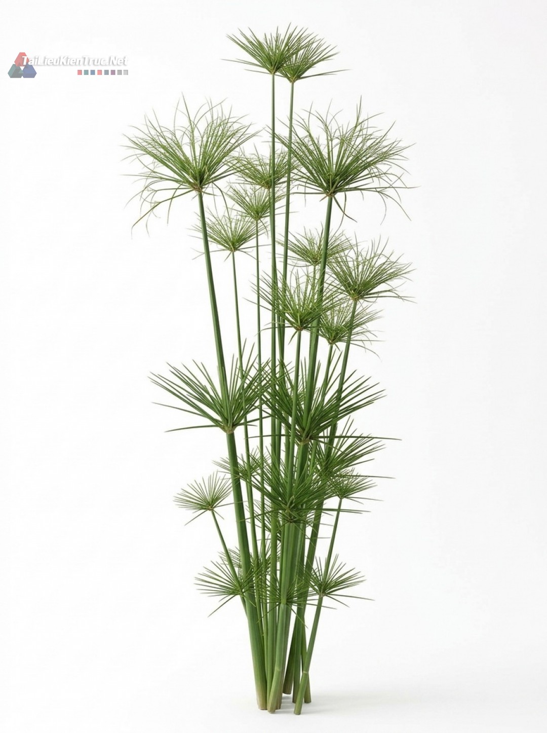 Thư viện Sketchup cây 053