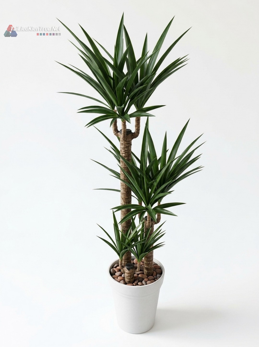 Thư viện Sketchup cây 055