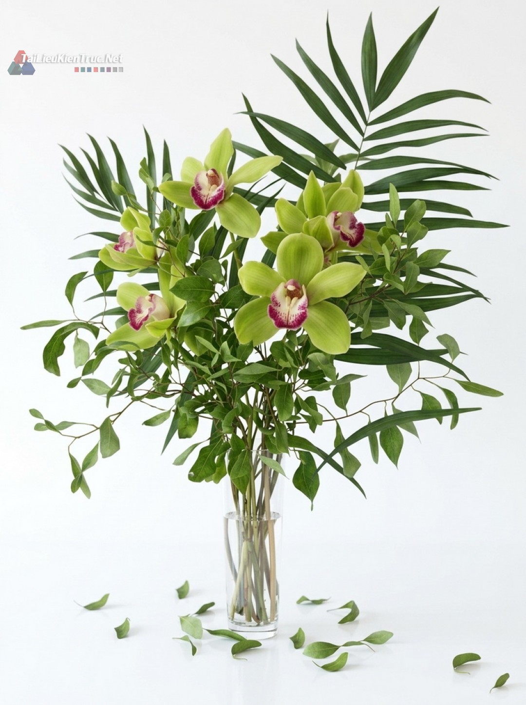 Thư viện Sketchup cây 056